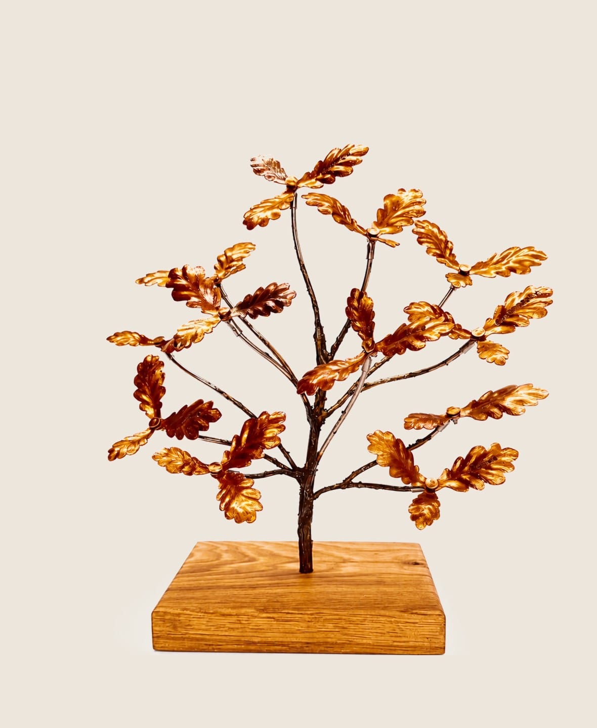 Heritage Oak